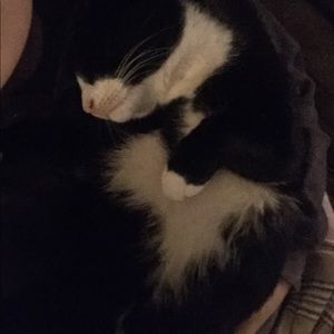 Meet your Posher, Gabby